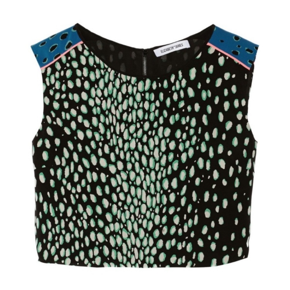 NWT ELIZABETH AND JAMES: Reed Silk Print Crop Top